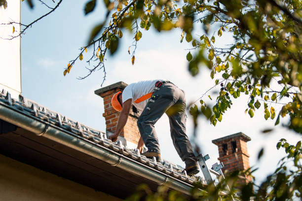 Best Roof Waterproofing Services  in Black Rock, NM